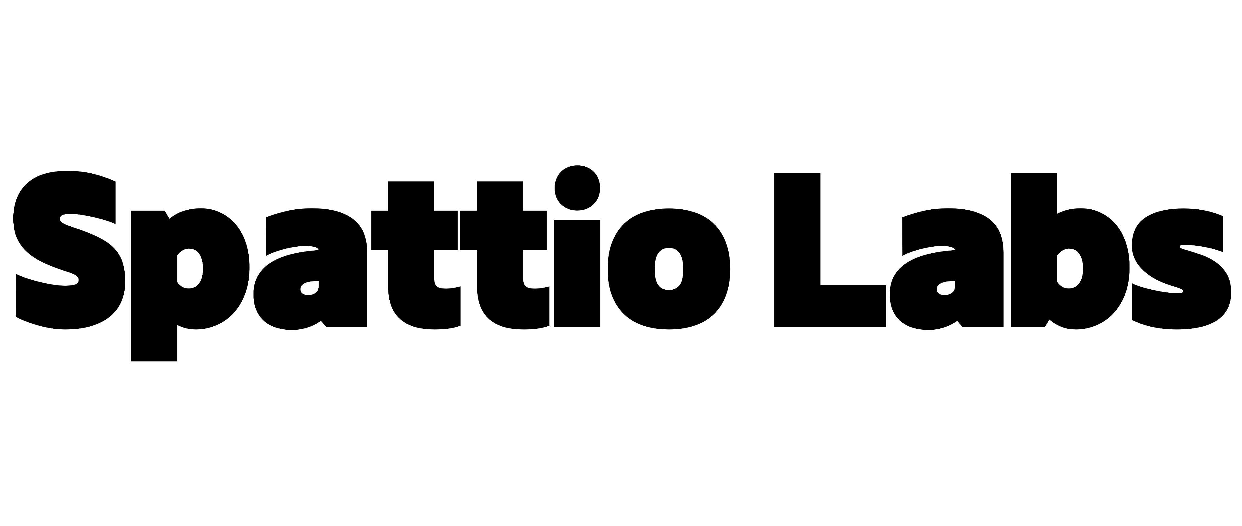 Spattio Labs Logo